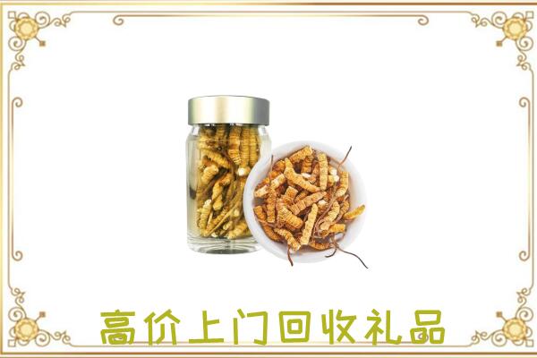 凉州周边回收虫草